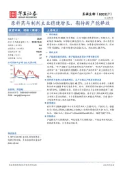 原料药与制剂主业稳健增长，期待新产能释放