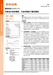 汽玻龙头地位稳固，行业价格战下盈利强劲