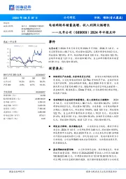 2024年中报点评:电动两轮车销量高增,收入利润大幅增长