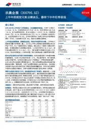 上半年排期变化致业绩承压，静待下半年旺季表现