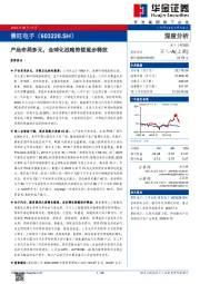 产品布局多元,全球化战略势能逐步释放