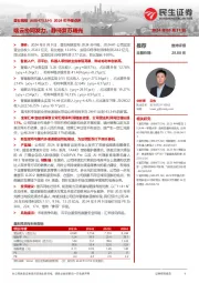 2024年中报点评：端云协同发力，静待复苏曙光