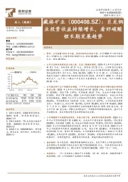 巨龙铜业投资收益持续增长,看好碳酸锂长期发展趋势