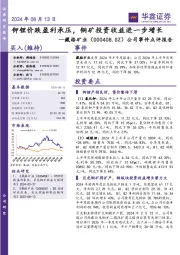 公司事件点评报告:钾锂价跌盈利承压,铜矿投资收益进一步增长