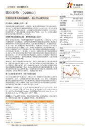 宏微观因素共振助推锡价，锡业龙头乘风而起