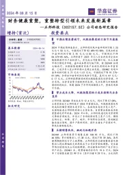 公司动态研究报告:财务健康重塑,重整转型引领未来发展新篇章