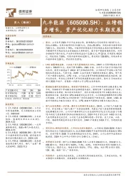 业绩稳步增长，资产优化助力长期发展