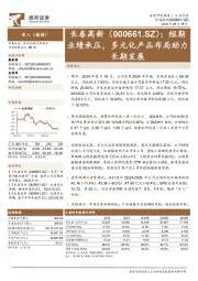 短期业绩承压,多元化产品布局助力长期发展