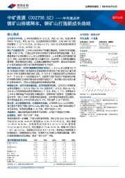 半年报点评:锂矿山持续降本,铜矿山打造新成长曲线