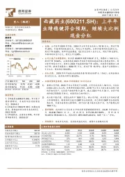 上半年业绩稳健符合预期，继续大比例现金分红