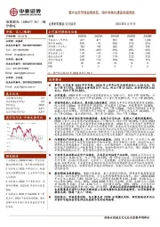 客户去库存致业绩承压,海外本地化建设加速推进