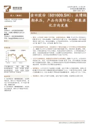 业绩短期承压，产品向国际化、新能源化方向发展