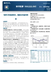 电表订单高速增长，储能业务盈利改善