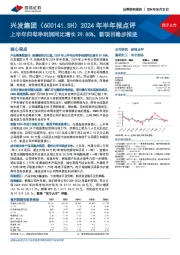2024年半年报点评:上半年归母净利润同比增长29.85%,新项目稳步推进