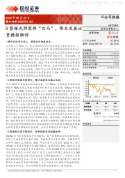 N型银光照浆料“白马”,降本发展出货捷报频传