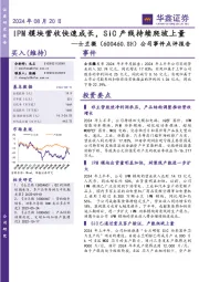 公司事件点评报告：IPM模块营收快速成长，SiC产线持续爬坡上量