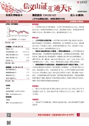 上半年业绩稳定增长，持续拓展海外市场