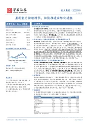 盈利能力持续增长，加快推进国际化进程
