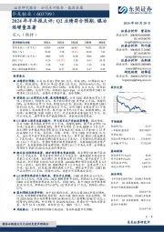 2024年半年报点评:Q2业绩符合预期,镍冶炼增量显著