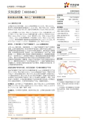 新能源业务放量，海外工厂盈利修复在望