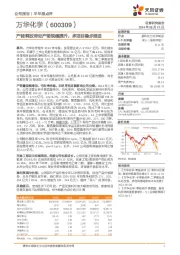 产能释放带动产销规模提升,多项目稳步推进