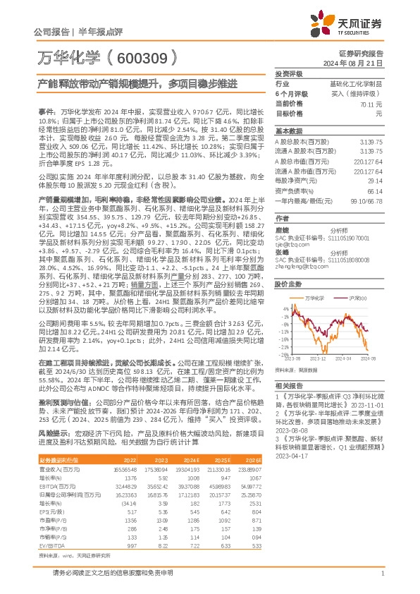 产能释放带动产销规模提升，多项目稳步推进