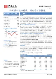 公司盈利能力稳健,国内外扩张提速