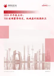 2024半年报点评:TCO玻璃蓄势待发,纯碱盈利短期承压