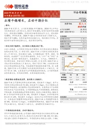业绩平稳增长，启动中期分红