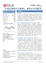 半年度业绩同比大幅增长,看好公司长期成长