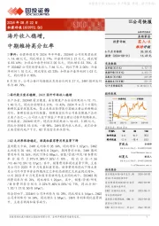 海外收入稳增，
