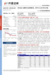 公司信息更新报告:2024Q2业绩环比逐渐修复,特气与大宗齐头并进