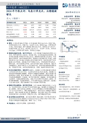 2024年中报点评:电表订单充足,业绩稳健增长