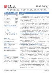 半年度业绩持续增长,光伏海外占比提升,拓展半导体等新领域