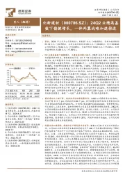 24Q2业绩高基数下稳健增长，一体两翼战略加速推进