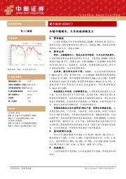 业绩平稳增长，叉车战略持续发力
