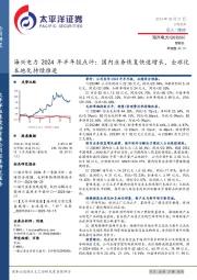 海兴电力2024年半年报点评:国内业务恢复快速增长,全球化本地化持续推进