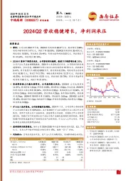 2024年中报点评：2024Q2营收稳健增长，净利润承压