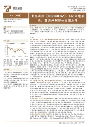 Q2业绩承压，费用摊销影响当期业绩
