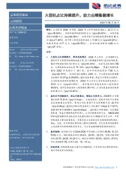 大型机占比持续提升，助力业绩稳健增长