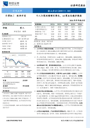 2024年半年报点评：个人订阅延续增长势头，AI商业化稳步推进