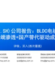 公司报告:BLDC电机驱控芯片明珠,终端渗透+国产替代驱动成长