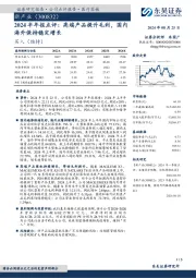2024半年报点评：高端产品提升毛利，国内海外保持稳定增长