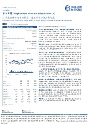 二季度业绩略超市场预期,海上风电保持高景气度