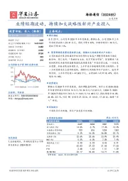 业绩短期波动，持续加大战略性新兴产业投入
