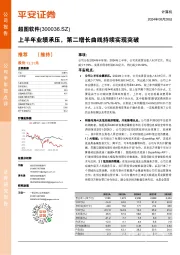 上半年业绩承压,第二增长曲线持续实现突破