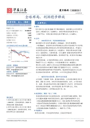 全球布局,利润稳步释放