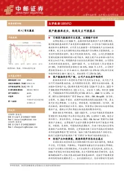 国产数据库龙头，构筑自主可控基石
