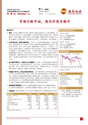 2024年半年报点评:市场不断开拓,国内外同步提升