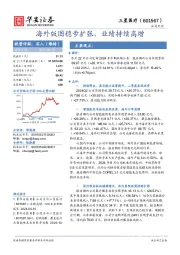 海外版图稳步扩张,业绩持续高增